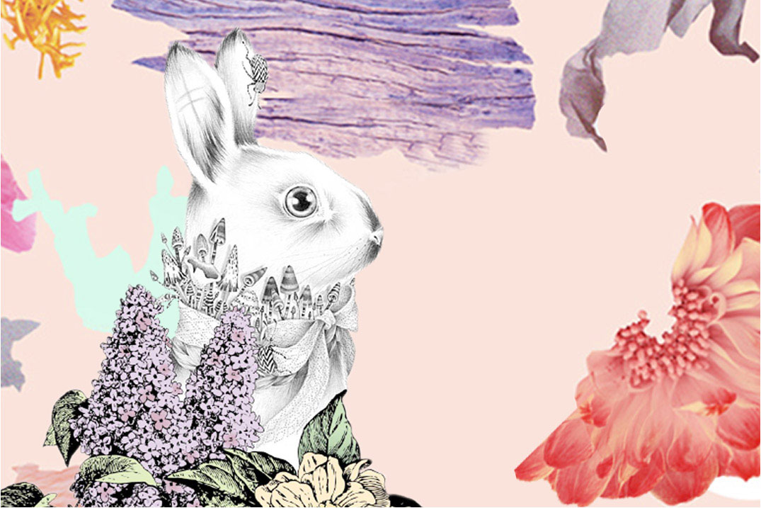 WANDIAN Default BG