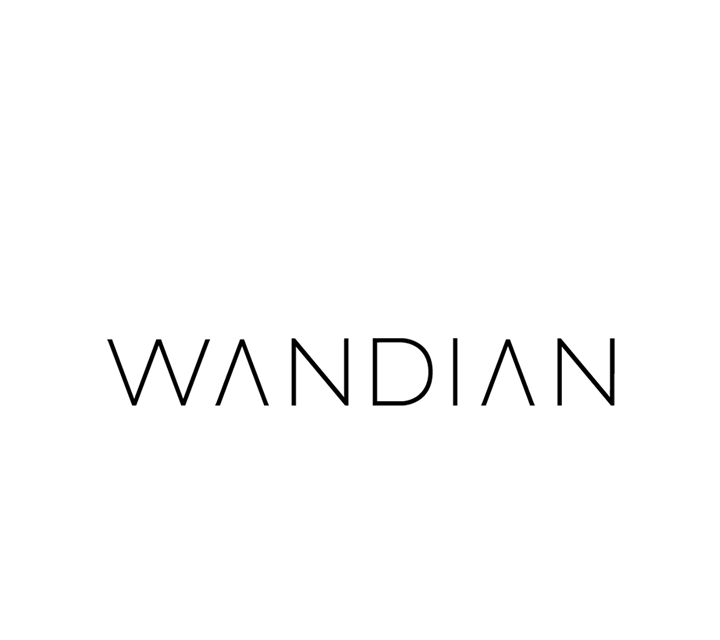 WANDIAN Logo